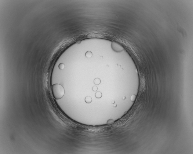 X0000111510686200908111309