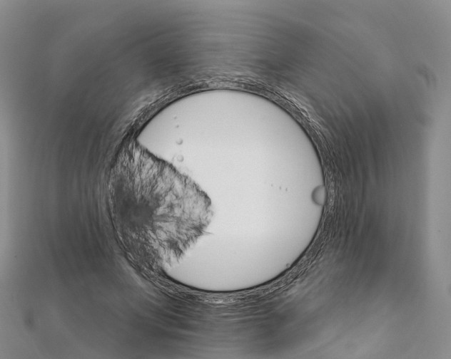 X0000111510687200908111309