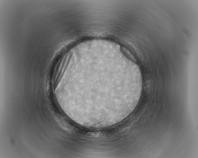 X0000111510688200908111309