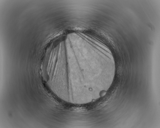 X0000111510689200908111309