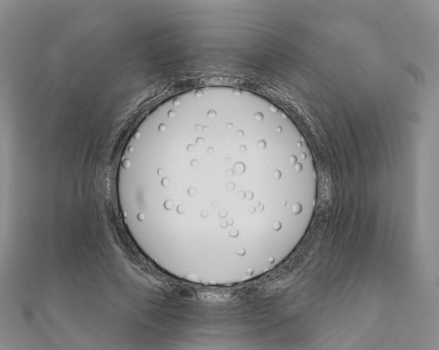 X0000111510690200908111309