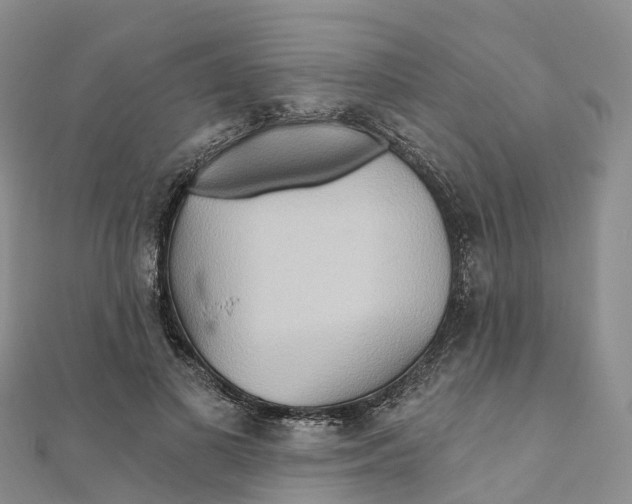 X0000111510693200908111309
