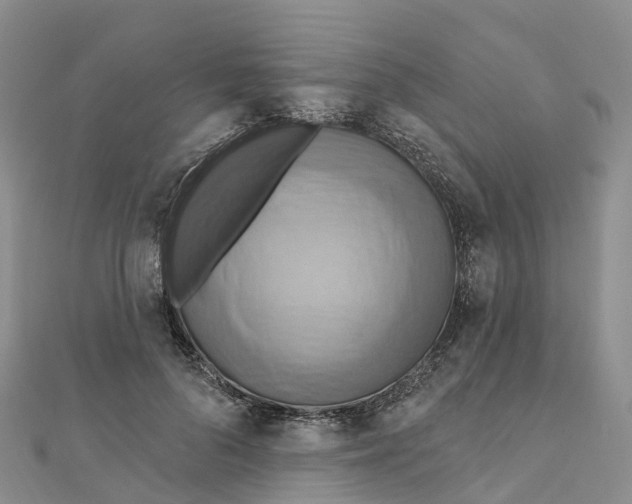 X0000111510696200908111309