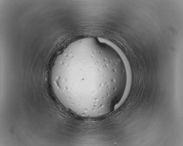 X0000111510701200908111309