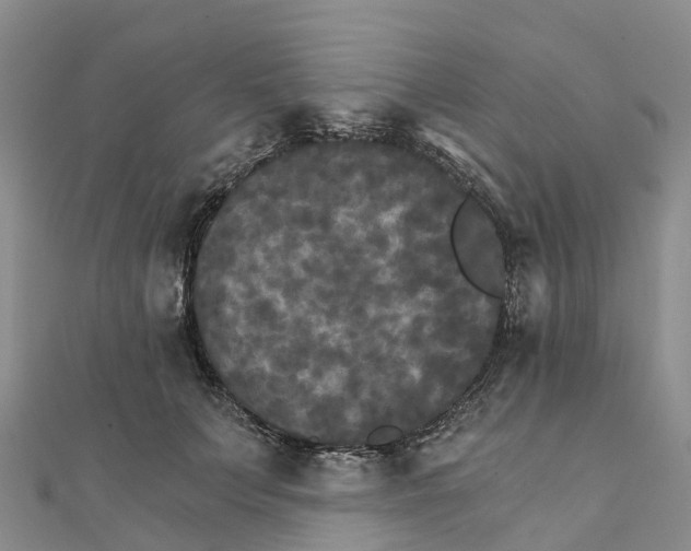 X0000111510703200908111309