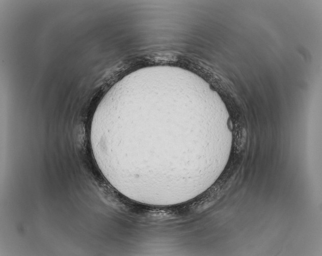 X0000111510704200908111309