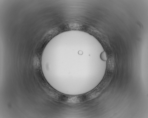 X0000111510705200908111309