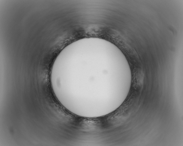 X0000111510706200908111309