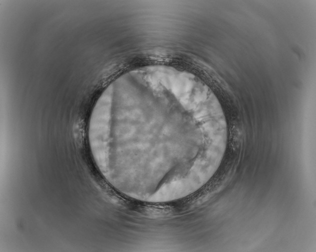X0000111510707200908111309