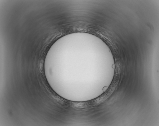 X0000111510709200908111309