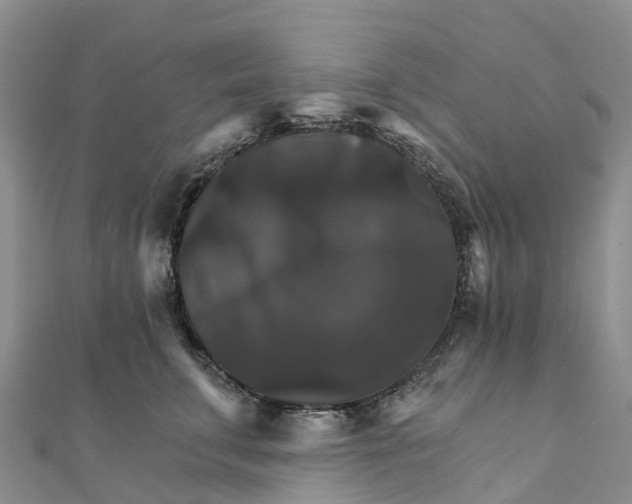 X0000111510711200908111309