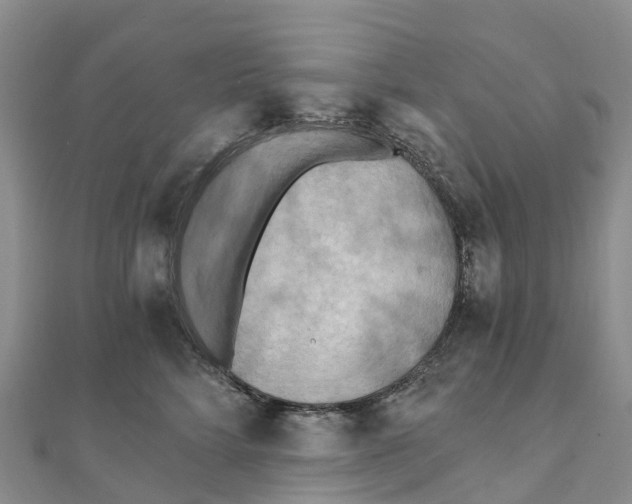 X0000111510712200908111309