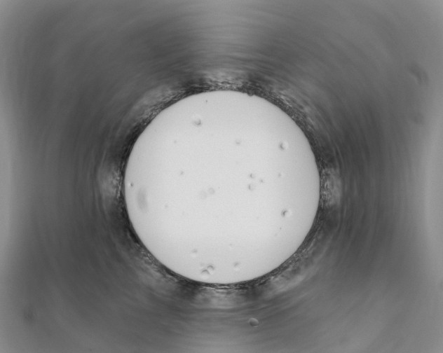 X0000111510713200908111309