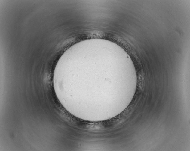 X0000111510714200908111309