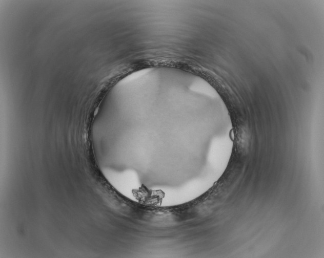 X0000111510715200908111309