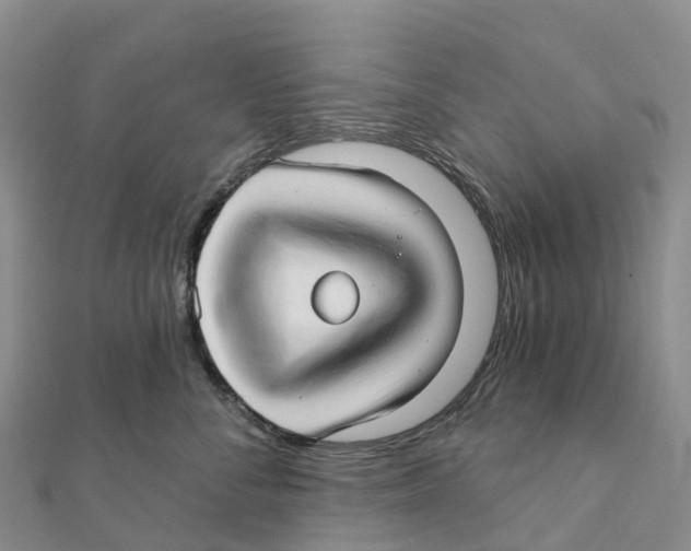 X0000111510716200908111309