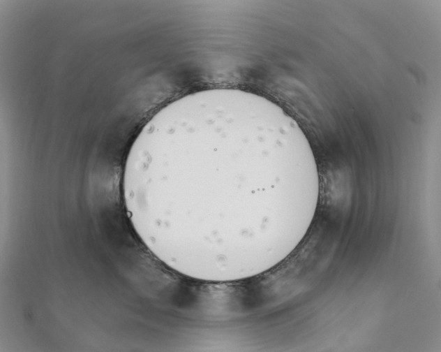 X0000111510717200908111309