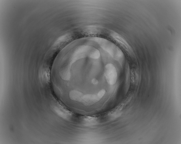 X0000111510718200908111309