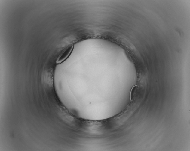 X0000111510719200908111309