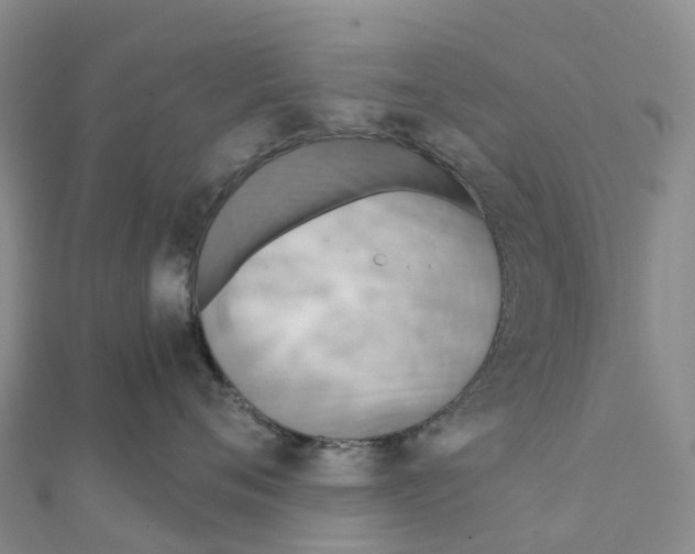 X0000111510720200908111309