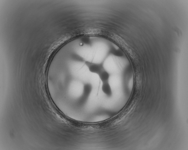 X0000111510721200908111308