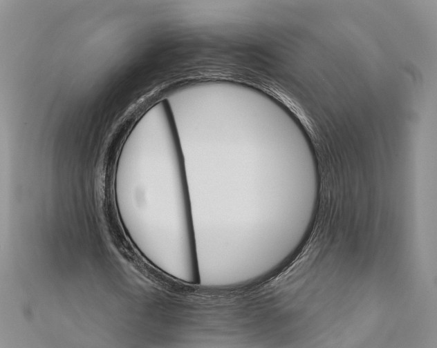 X0000111510722200908111308