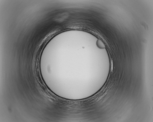 X0000111510723200908111308