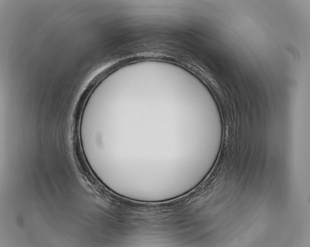 X0000111510724200908111308