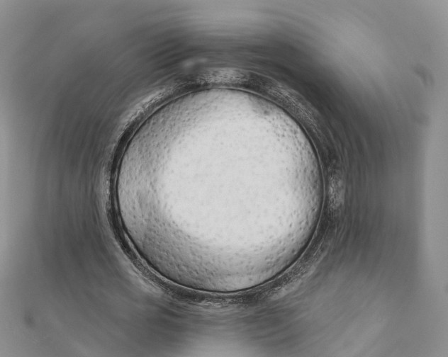 X0000111510725200908111308