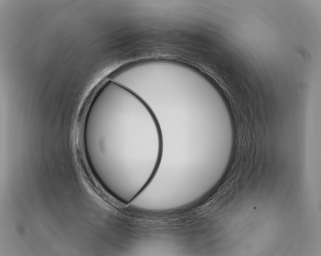 X0000111510726200908111308