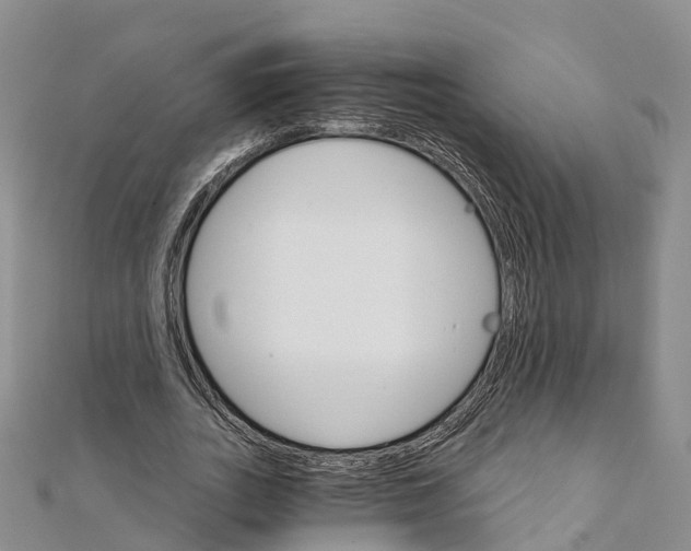 X0000111510727200908111308