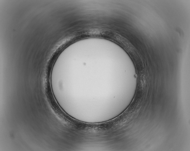 X0000111510728200908111308
