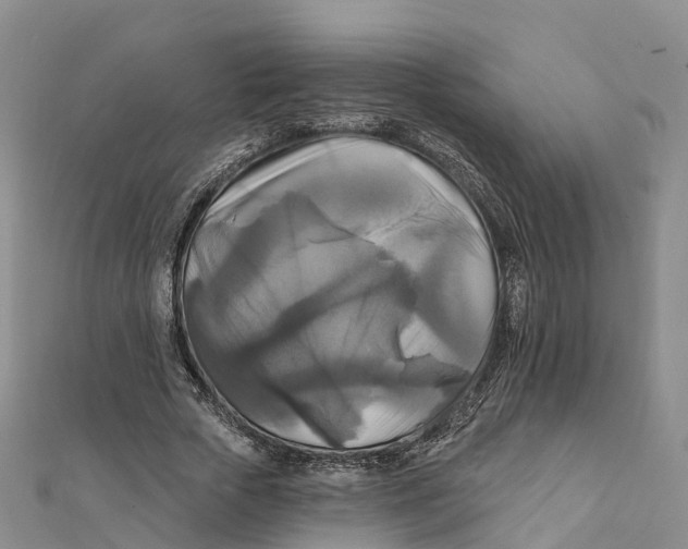 X0000111510729200908111308