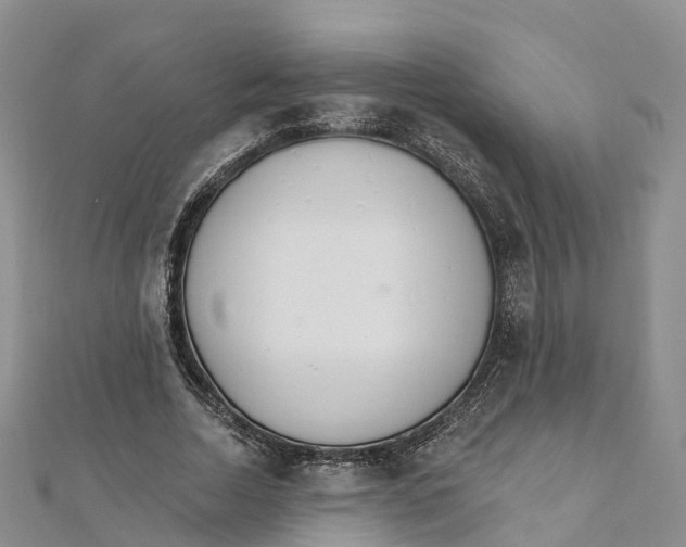 X0000111510730200908111308