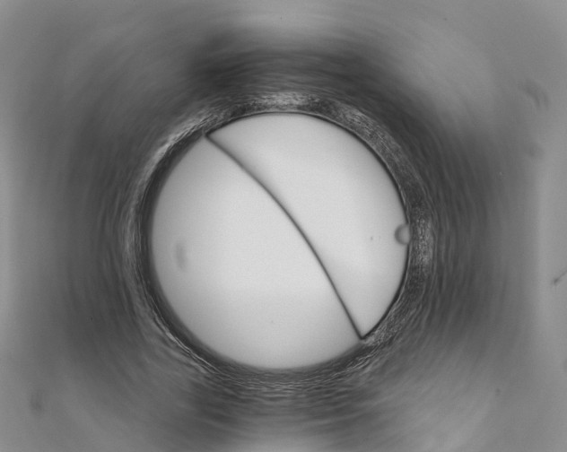 X0000111510731200908111308