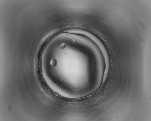 X0000111510732200908111308