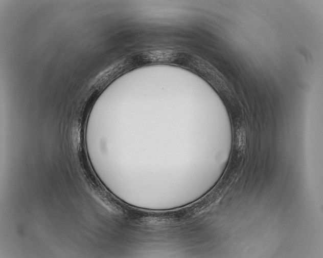 X0000111510733200908111308