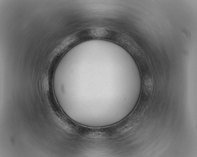 X0000111510734200908111308