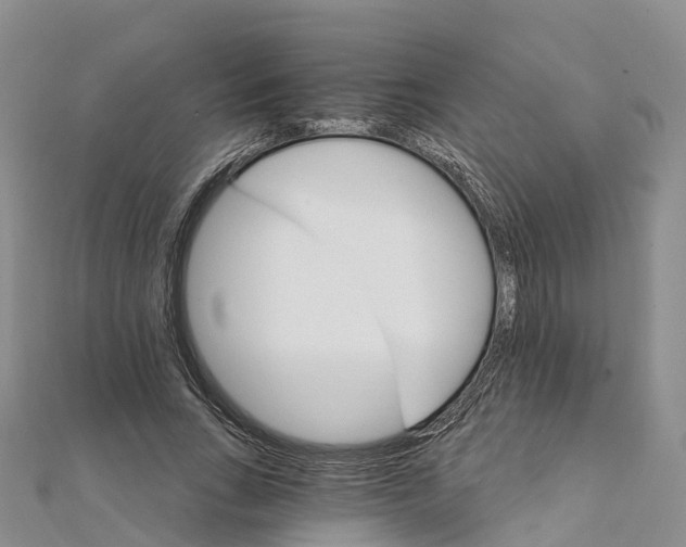 X0000111510735200908111308