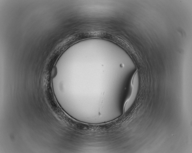 X0000111510736200908111308