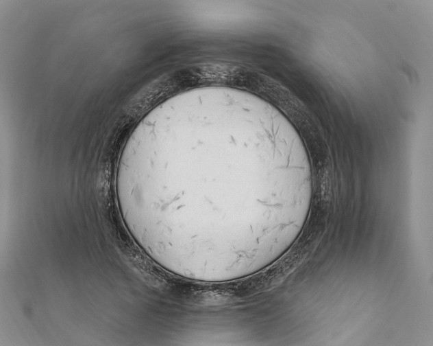 X0000111510737200908111308