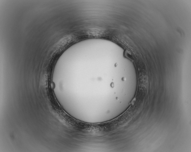 X0000111510738200908111308