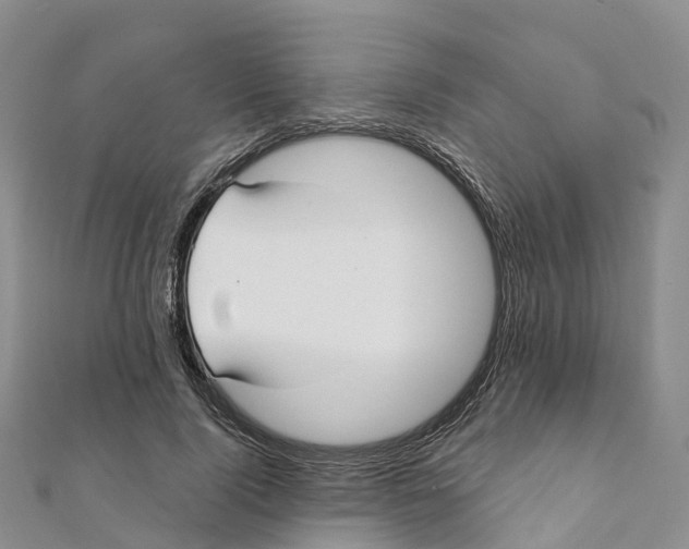 X0000111510740200908111308