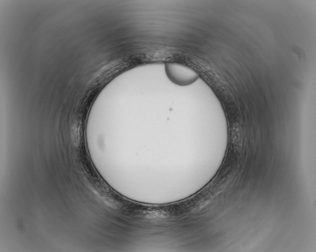 X0000111510741200908111308