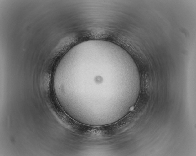 X0000111510742200908111308