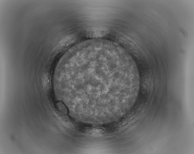 X0000111510743200908111308