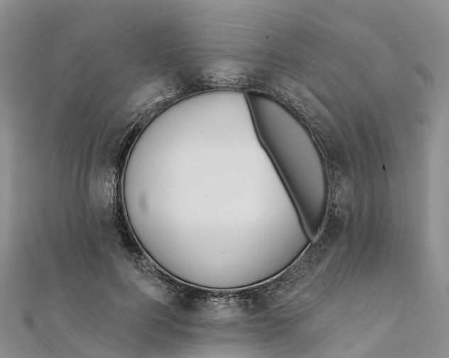 X0000111510744200908111308