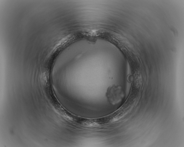 X0000111510747200908111308