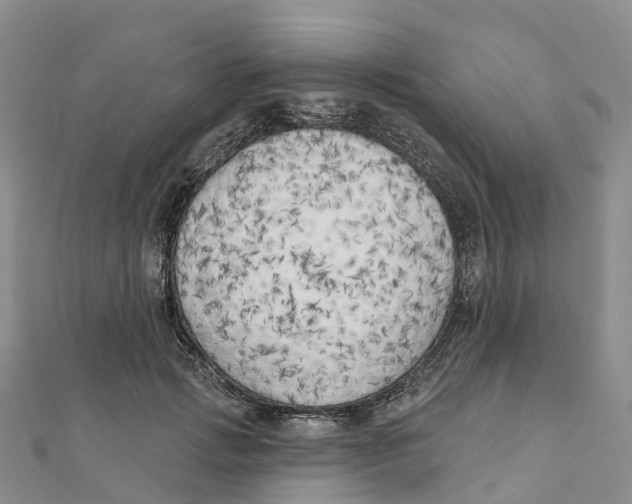 X0000111510749200908111308
