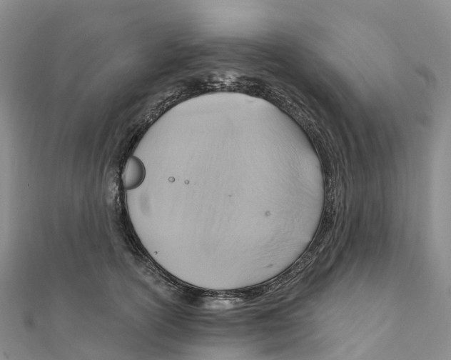 X0000111510754200908111308